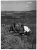 Excavating at Fort Hill