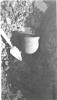 Ceramic vessel in situ from Hanna