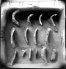 Montague ceramic vessel fragments
