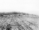 Excavating at Troutman