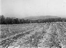Excavating at Troutman