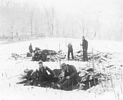 Winter excavations at Troutman