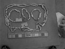 Bone beads recovered from Troutman 