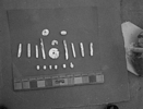 Shell beads and ornaments recovered from Troutman