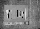 Bone tools recovered from Troutman 