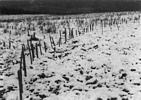 Sticks placed in palisade postholes covered by snow at Troutman