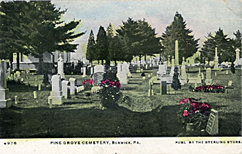 Pine Grove Cemetery Postcard