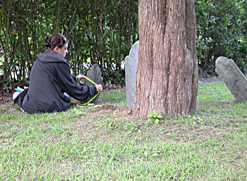 Surveyor measuring headstone