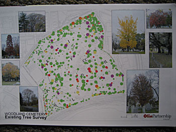 Map created by aerial photograph of cemetery