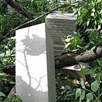 Monument toppled by fallen tree.